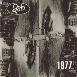 1977 by Ash