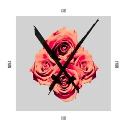 Nina by Xiu Xiu