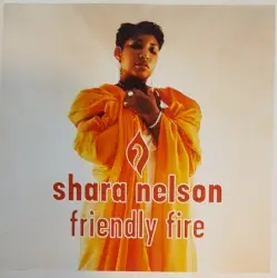 Friendly Fire by Shara Nelson
