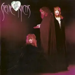 The Wild Heart by Stevie Nicks