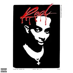 Whole Lotta Red by Playboi Carti