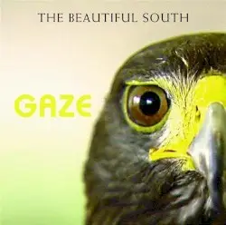 Gaze by The Beautiful South