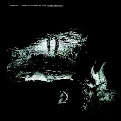 Microgestures by Ricardo Villalobos & Samuel Rohrer