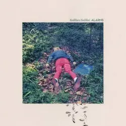 ALARMS by Galileo Galilei