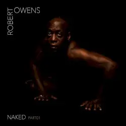 Naked, Pt. 1 by Robert Owens