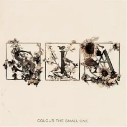 Colour the Small One by Sia