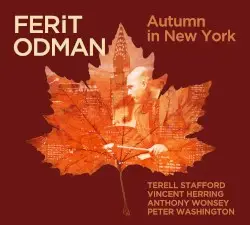 Autumn in New York by Ferit Odman
