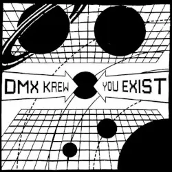 You Exist by DMX Krew