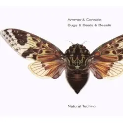 Bugs & Beats & Beasts by Ammer & Console