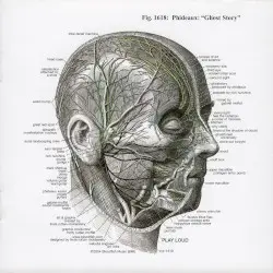 Ghost Story by Phideaux