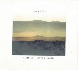 A Billion Little Lights by Wild Pink