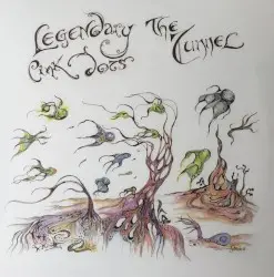 The Tunnel by The Legendary Pink Dots