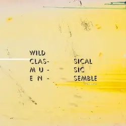 Tapping is Clapping by Wild Classical Music Ensemble