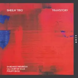 Transitory by Sheen Trio