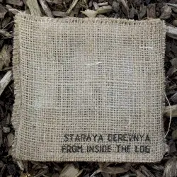 From Inside the Log by staraya derevnya