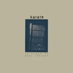 In Place of Real Insight by Karate