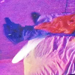 印心 Ｌｅａｖｅ Ｗｉｔｈ Ｕｓ by ᴸᵘⁿᵃʳ≜ᴾʸʳᵃᵐⁱᵈˢ
