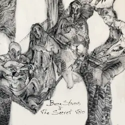 Becca Stevens & The Secret Trio by Becca Stevens & The Secret Trio