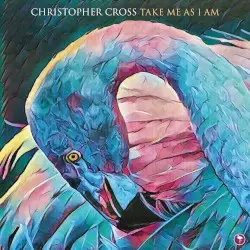 Take Me as I Am by Christopher Cross