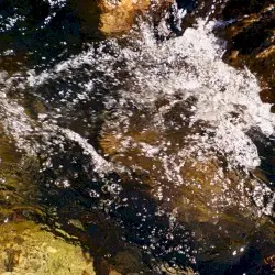 Effervescing by Jeanette Ogden