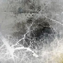 Textures by Reflections From Nowhere