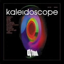 Kaleidoscope by DJ Food