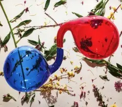 Lamp Lit Prose by Dirty Projectors