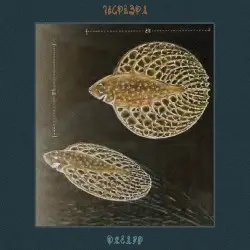 🌀ᵤ₊₁ᶠ₄₁ᶠ🌀 by 𝕶𝕺𝕯𝕰𝖃𝕮𝕰𝕾