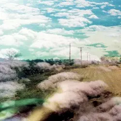 Always Foreign by The World Is a Beautiful Place & I Am No Longer Afraid to Die
