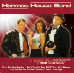 I Will Survive by Hermes House Band