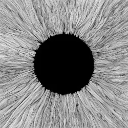 Witness by VOLA