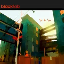 See the Sun by Black Lab