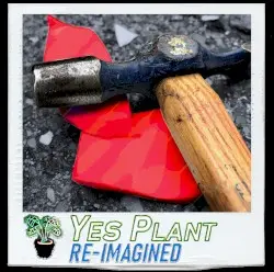 Re-Imagined by Yes Plant