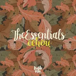 The Essentials : EEhOU by .Eehou & Pueblo Vista