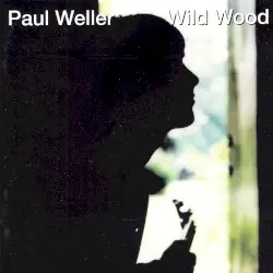 Wild Wood by Paul Weller