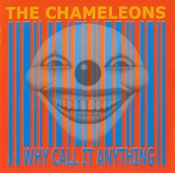 Why Call It Anything by The Chameleons