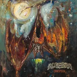 Chiroptera by Algebra