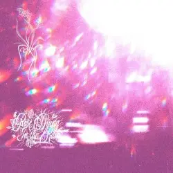 Daydream Flowers by Sadness / A Rose Dying in the Rain