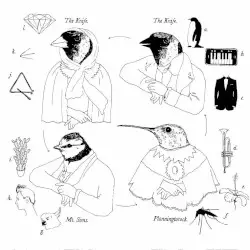 Tomorrow, in a Year by The Knife in collaboration with Mt. Sims and Planningtorock