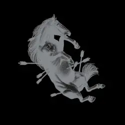 Dead Horse X by Touché Amoré