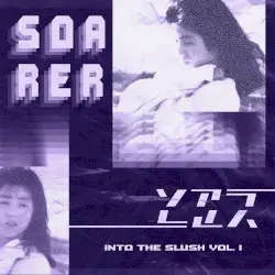 Into the Slush Vol. I by S O A R E R