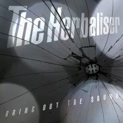 Bring Out the Sound by The Herbaliser