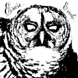 Night Life by Erase Errata