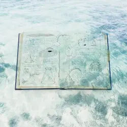 Rhapsody in beauty by THE NOVEMBERS