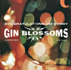 Congratulations I’m Sorry by Gin Blossoms