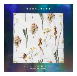 ピッパラの樹の下で by nano.RIPE