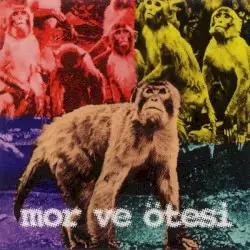 Bırak Zaman Aksın by Mor ve Ötesi