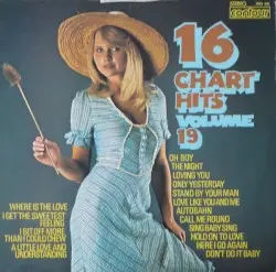 16 Chart Hits, Volume 19 by [unknown]