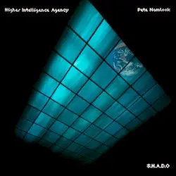 S.H.A.D.O by Pete Namlook & The Higher Intelligence Agency