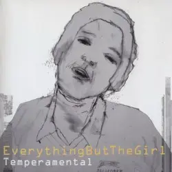 Temperamental by Everything but the Girl